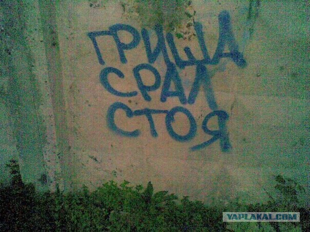 Маразмы месяца