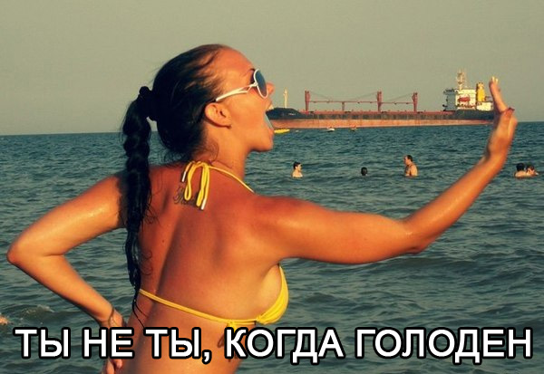 Забавные картинки из сети