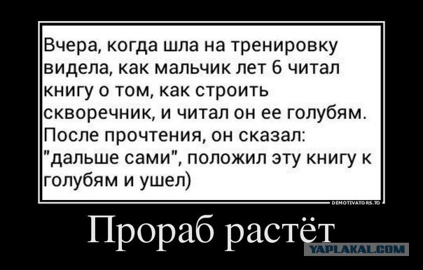 Небольшая подборка демотиваторов