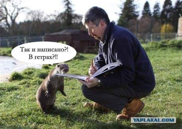 25 фото, картинок и историй.