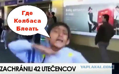 В Финляндии беженцы недовольны качеством еды