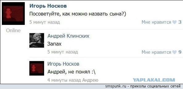 Подборка веселых картинок