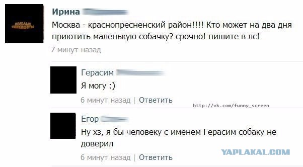 Ужасы и приколы из соцсетей 18+