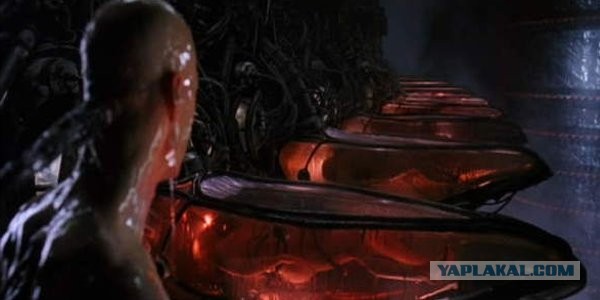 Как японцы живут в комнатах  размером 1 на 2
