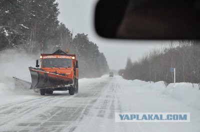 Дорога через самое большое болото в мире
