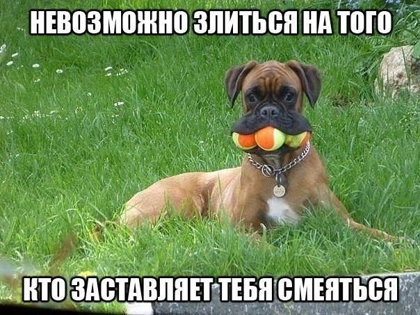 Свежая подборка прикольных картинок