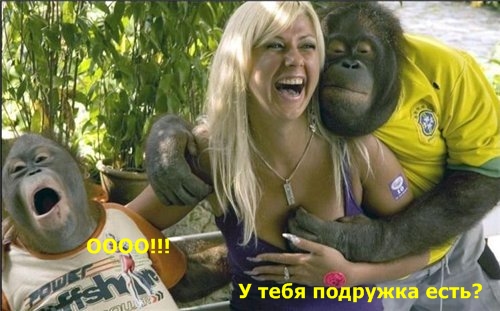 Подборка картинок на среду