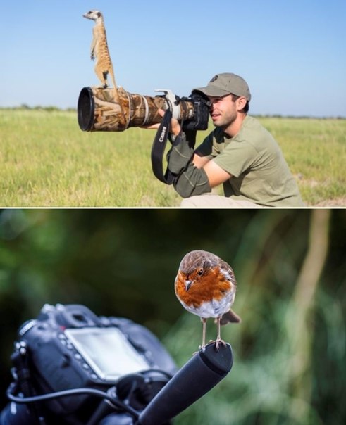 Подборка картинок на среду