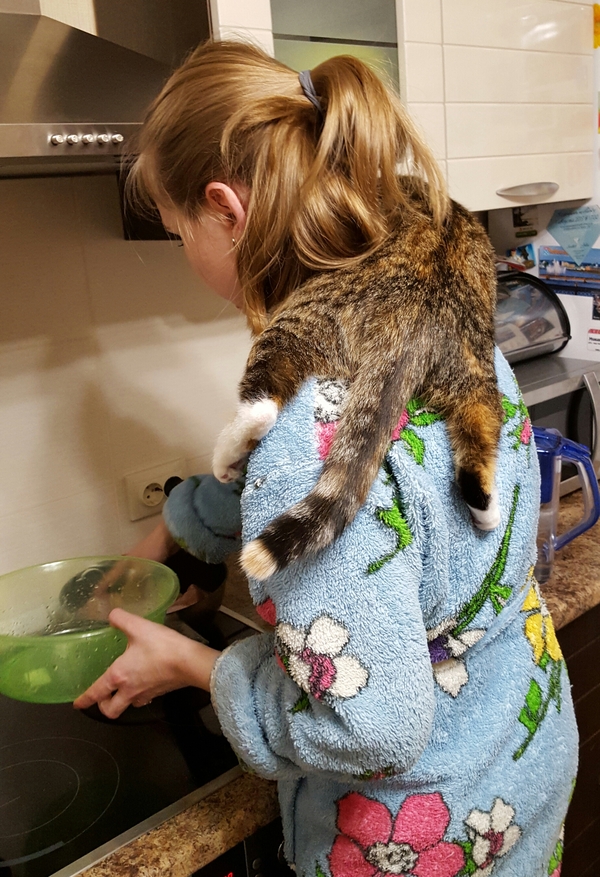 Котонадзор