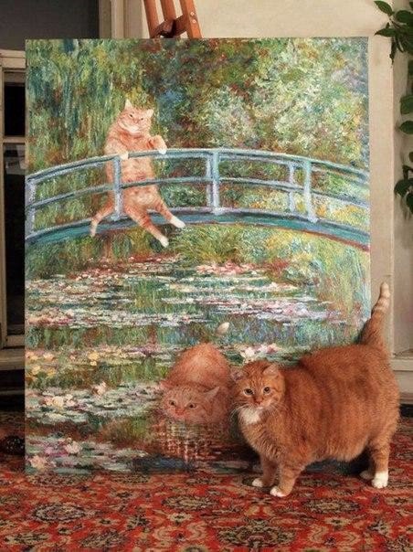 Мохнатые беспредельщики