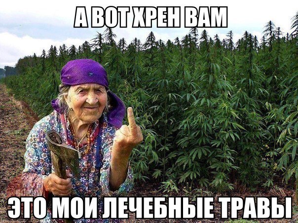 Небольшой микс картинок и гифок