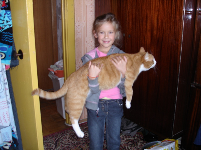 Котомет во вторник (11.12.2007)