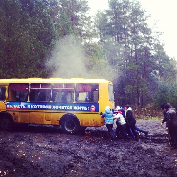 Подборка веселых картинок с тырнета