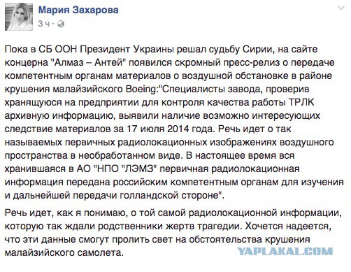 Пентагон призвал ввести бесполетную зону в Сирии только для России и Дамаска