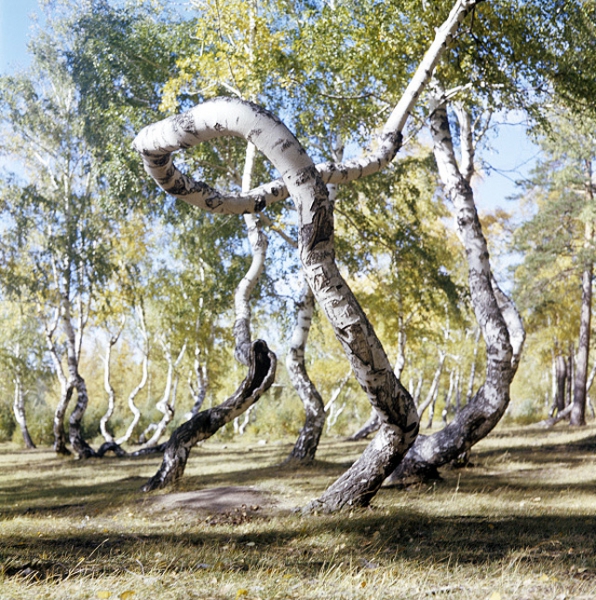 Картинки. Интересные, старые и не очень.