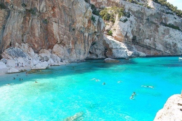Моменты, запечатлённые на фото и просто позитив 5