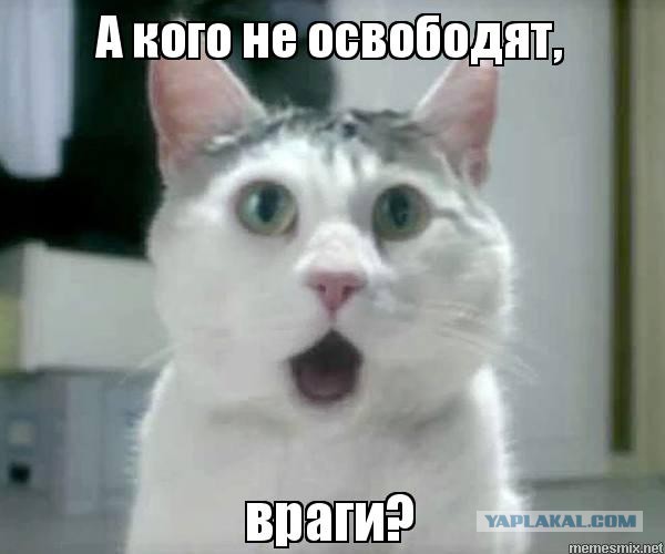 Друзей Путина освободят от налогов: наш ответ на санкции