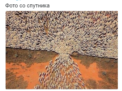 Первые украинцы въехали в ЕС без виз
