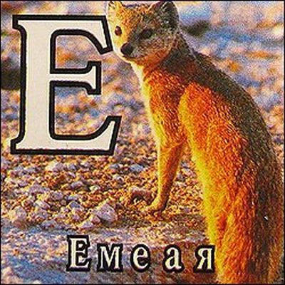 Детский алфавит.