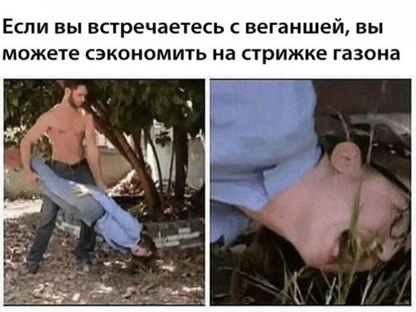 Нестандартный юмор