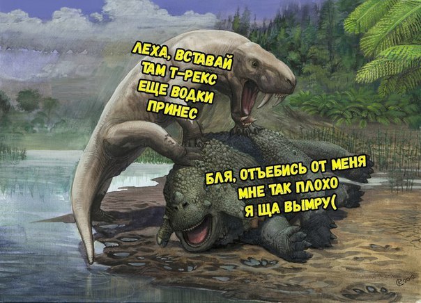 Порция стандартного деграюмора