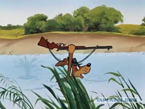 Расстреляли сазана