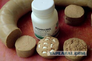 Послушайте меня, собачатники!