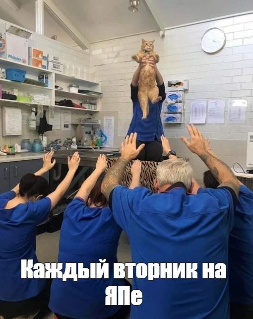 Журнал с картинками