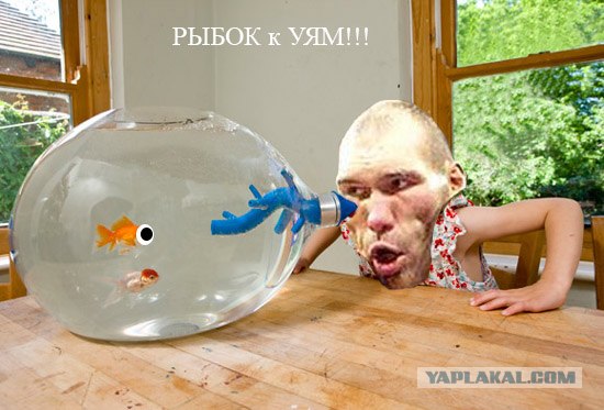 Аквариум для легких (3 фото)
