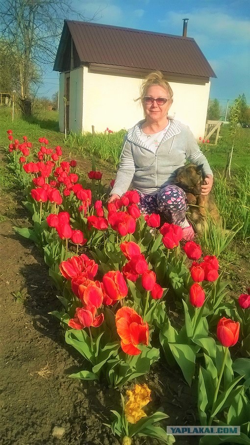 Хорошо в деревне летом