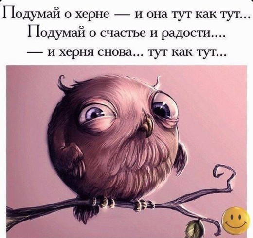 Картинки