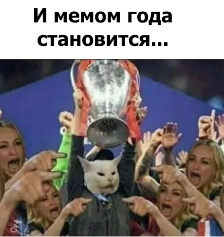Мемный кот