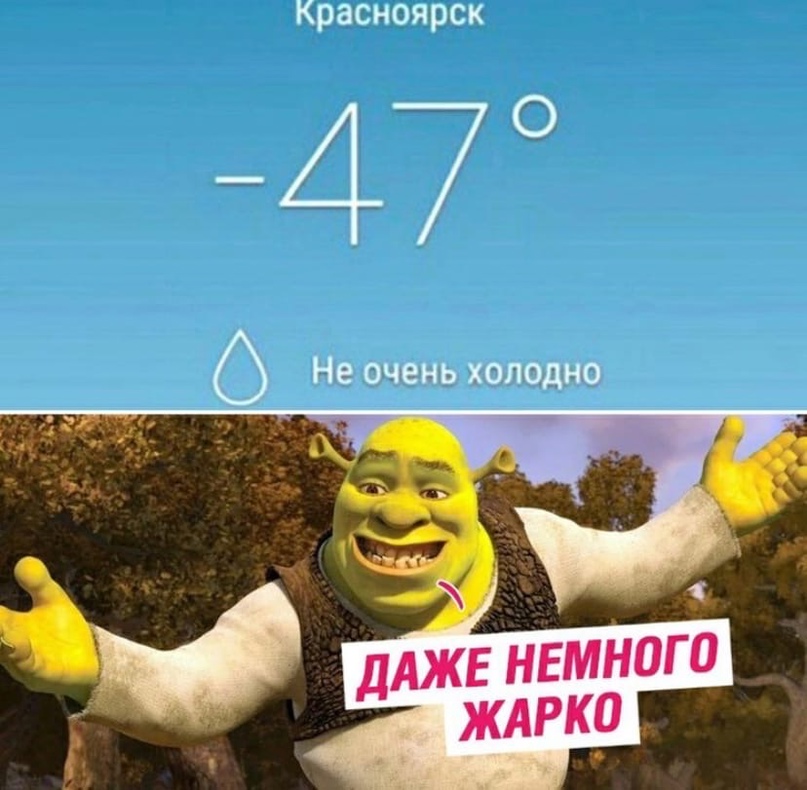 15263122.jpg