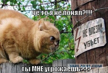 Старый глупый мужчина