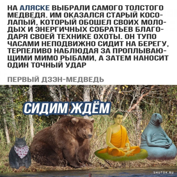 Весёлый полтишок 15.10