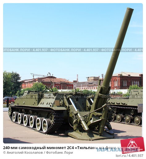 Тюльпаны это цветочки, ягодки потом