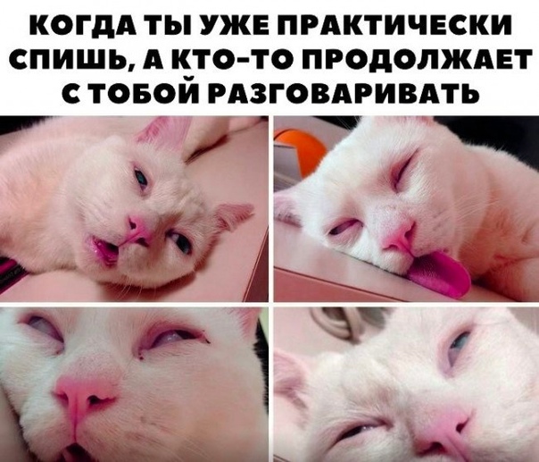 Щас усну картинки