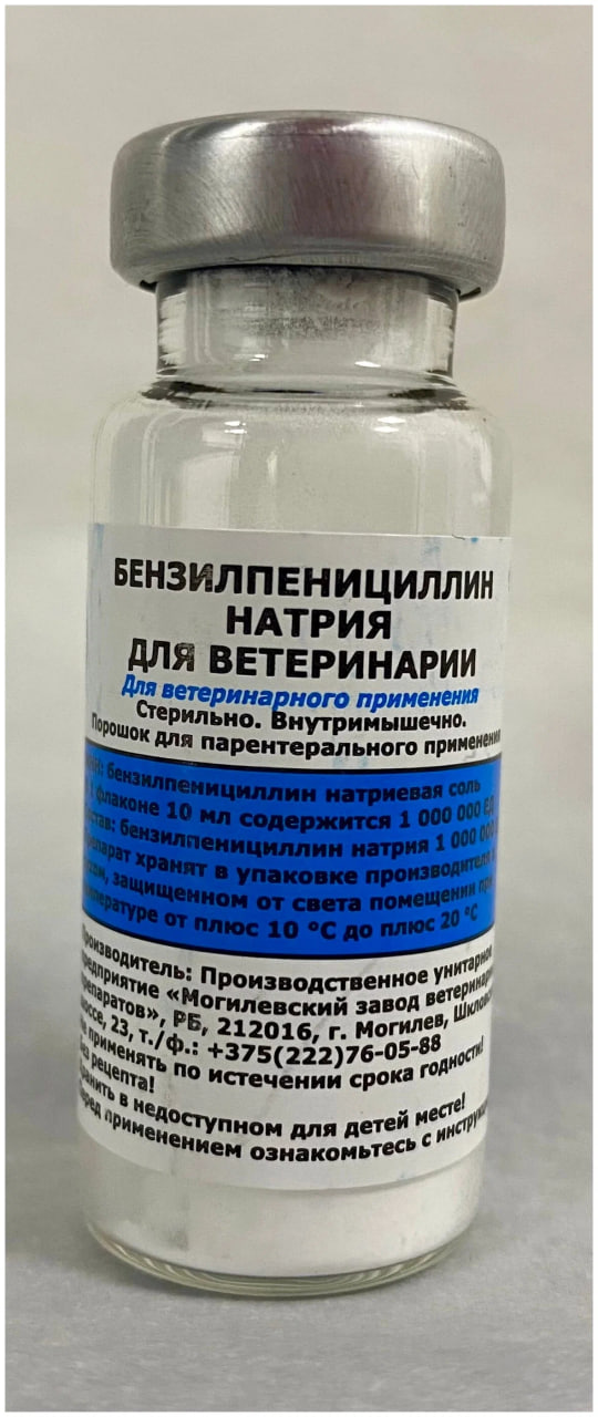 Да что вы знаете о настоящей дружбе?!