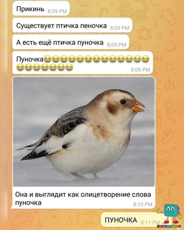 Так себе картинки 02.09.24