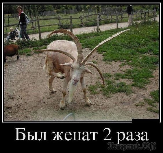 Прикольные и просто красивые картинки