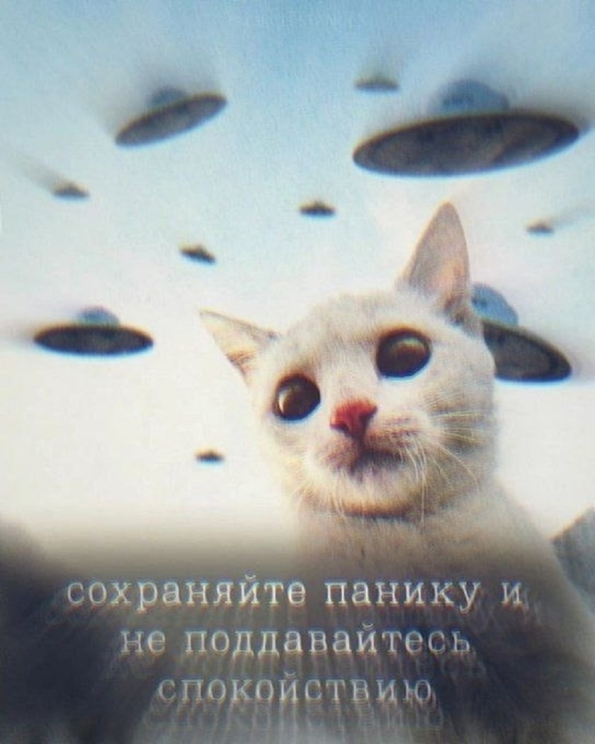 Так себе картинки 01.08.25