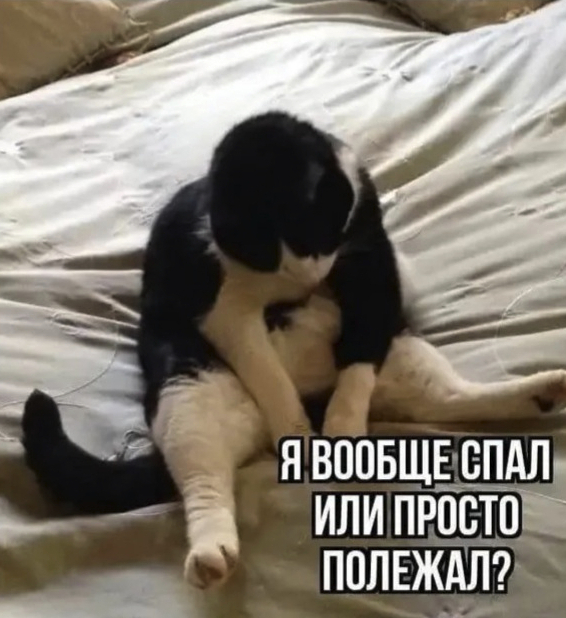 Котовторник скоро.