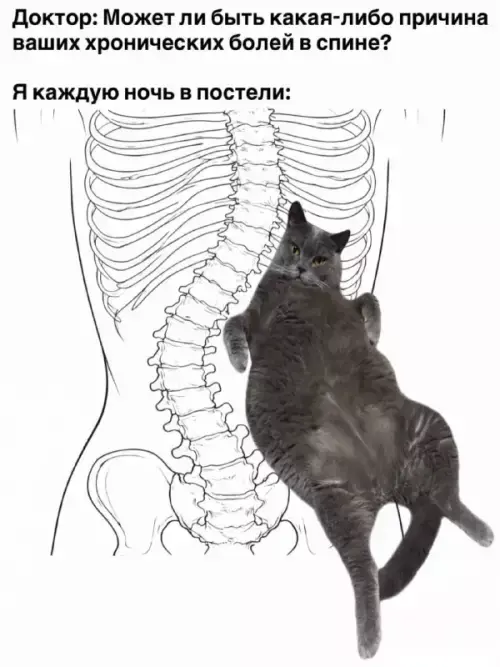 Картинки для деградации 164 (разной степени свежести)