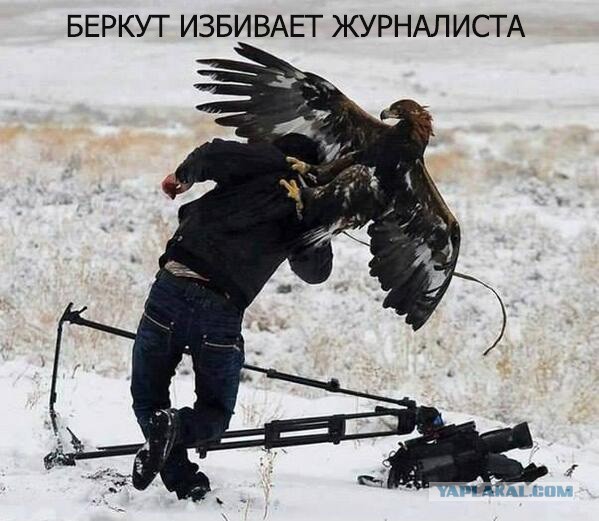 Oтступление украинского легиона