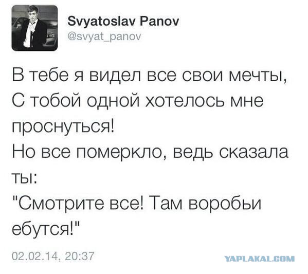 Весёлые картинки. Разбавим будни