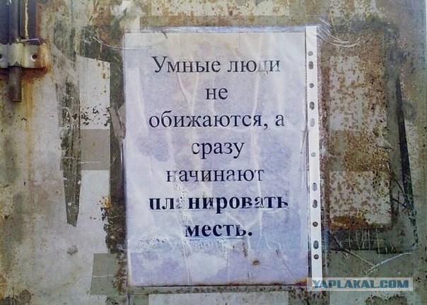 Смешные комментарии из социальных сетей