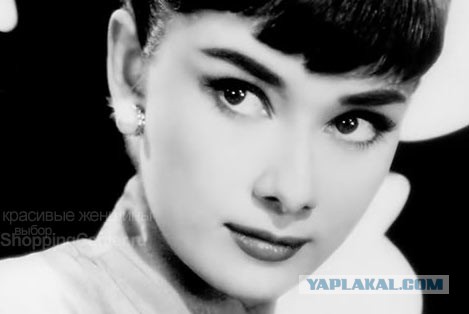 Страшная сила