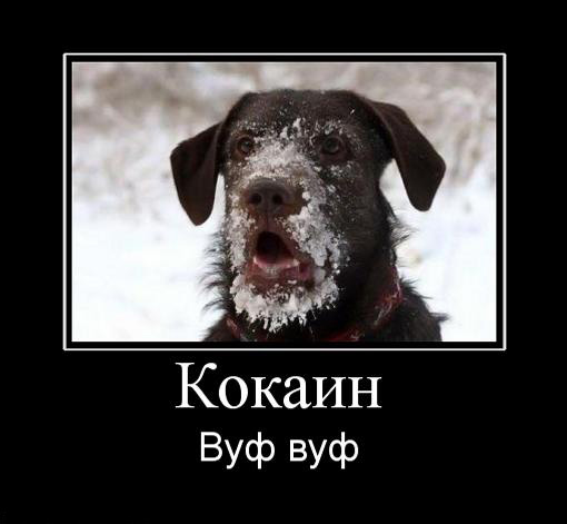 Веселые картинки, пятница.