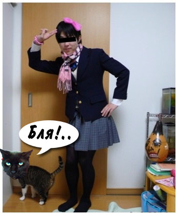 Даже кошки не могут это терпеть