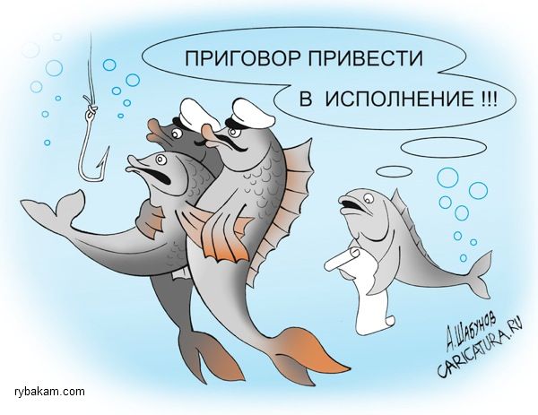 На Рыбалку!